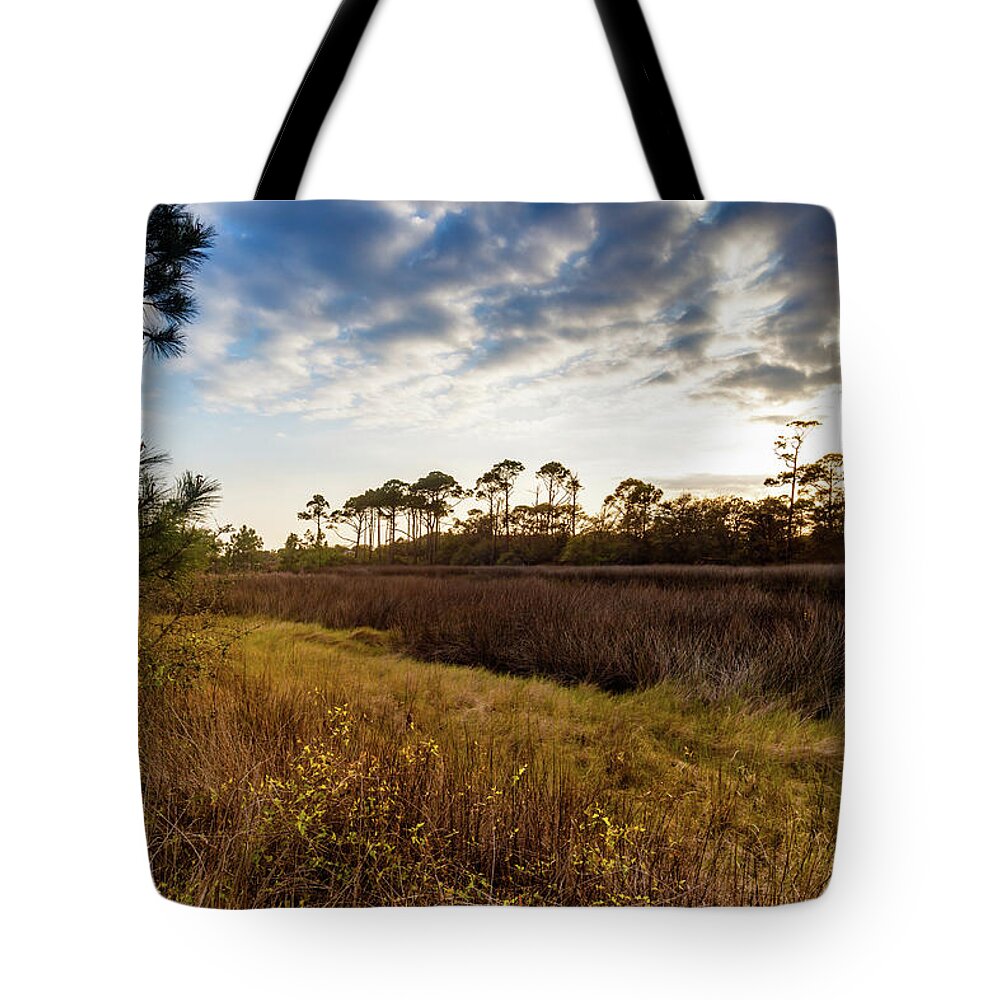 Gulf Of Mexico Tote Bag featuring the photograph Far Away by Raul Rodriguez
