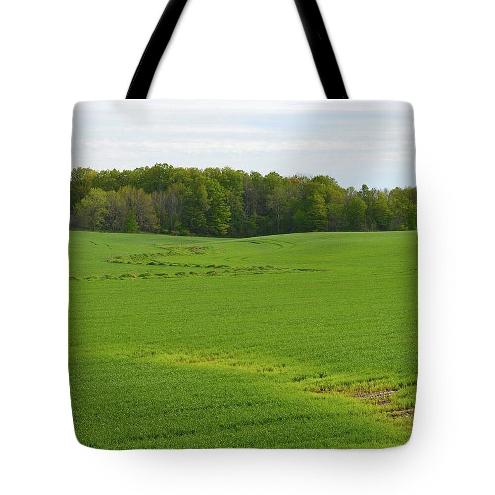 Abstract Tote Bag featuring the photograph Farm Field In May by Lyle Crump