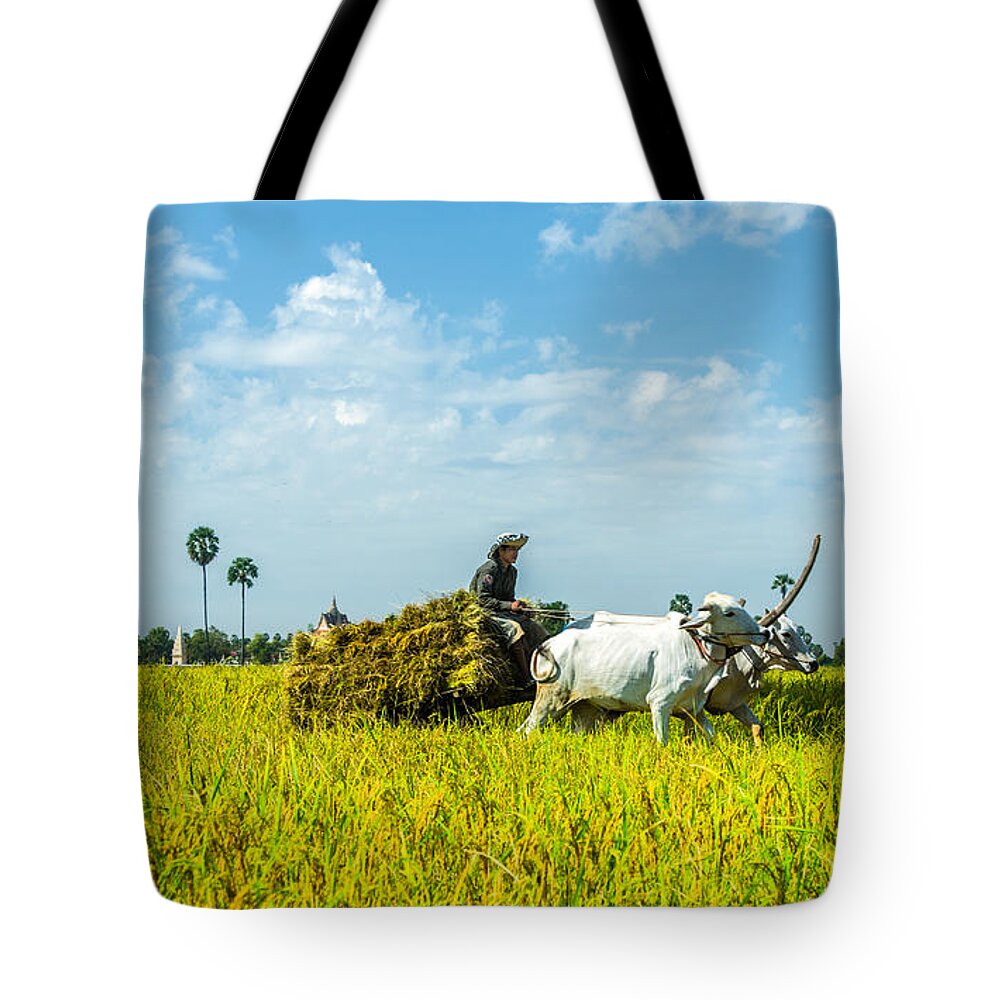 Landscape Tote Bag featuring the photograph Farmer carrying rice with cow by Arik S Mintorogo
