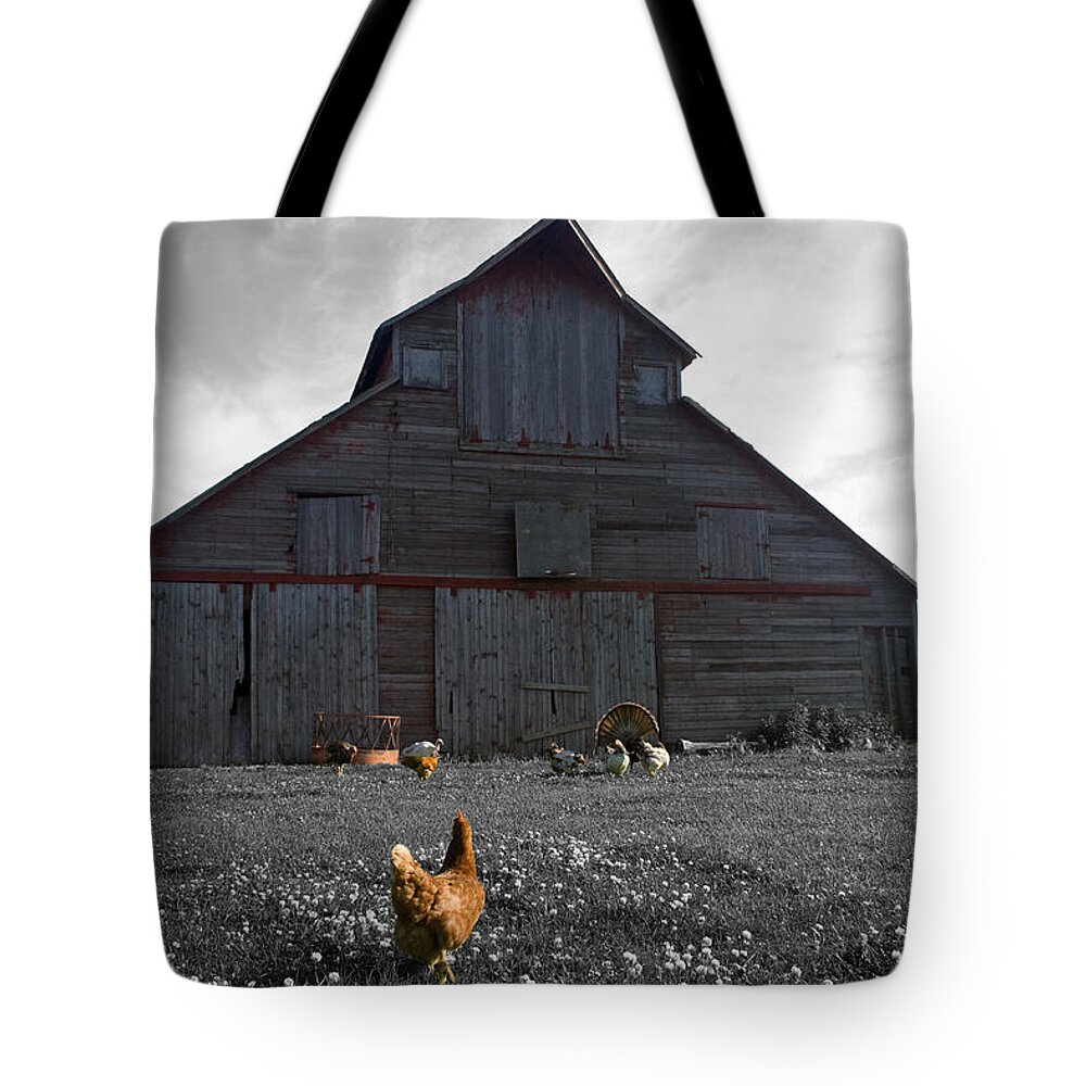 Unique Tote Bag featuring the photograph Farmer John's by Dylan Punke