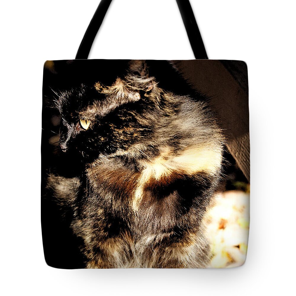 Cat Tote Bag featuring the photograph Farmhouse Cat by Margie Avellino