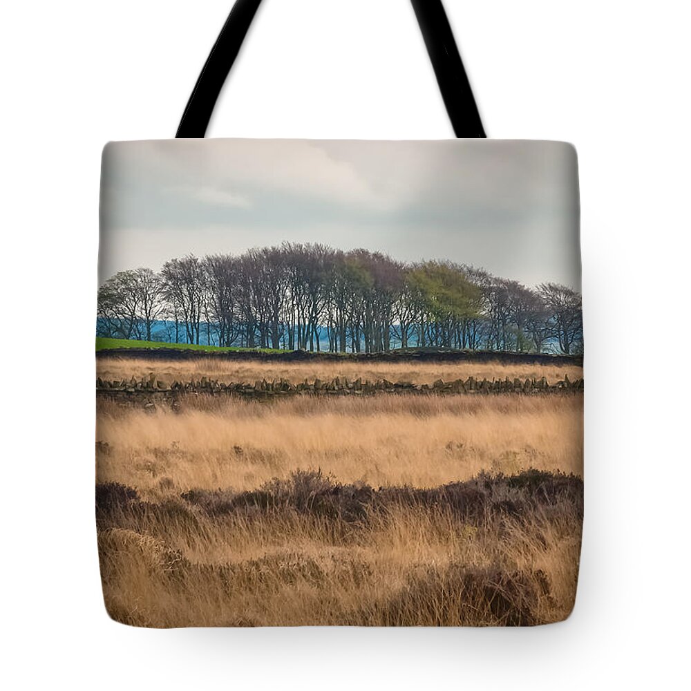 D90 Tote Bag featuring the photograph Farnhill by Mariusz Talarek