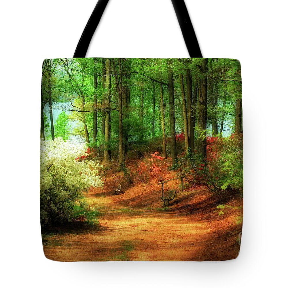 Landscape Tote Bag featuring the photograph Favorite Path by Lois Bryan