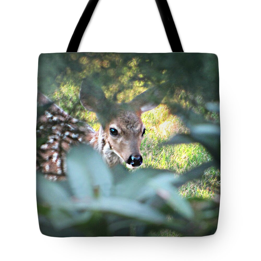Nature Tote Bag featuring the photograph Fawn Peeking Through Bushes by KATIE Vigil