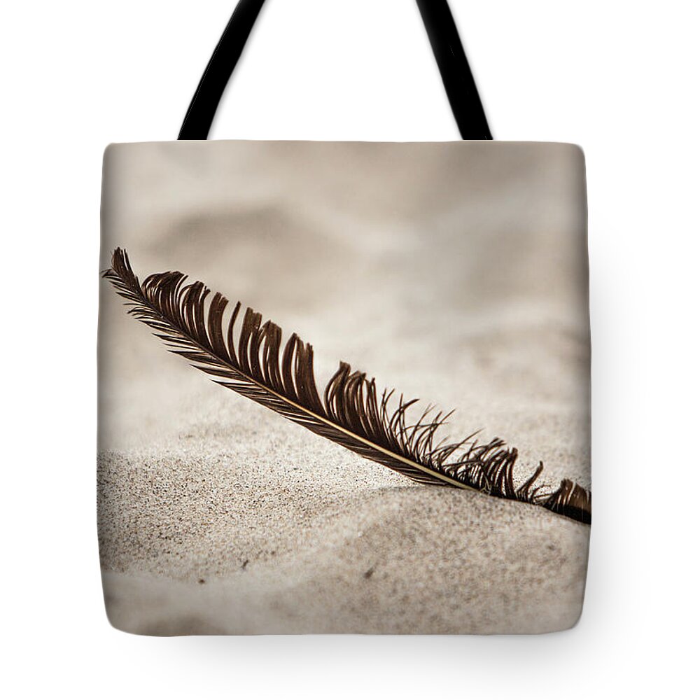 Feather Tote Bag featuring the photograph Feather in the sand by Jason Hughes