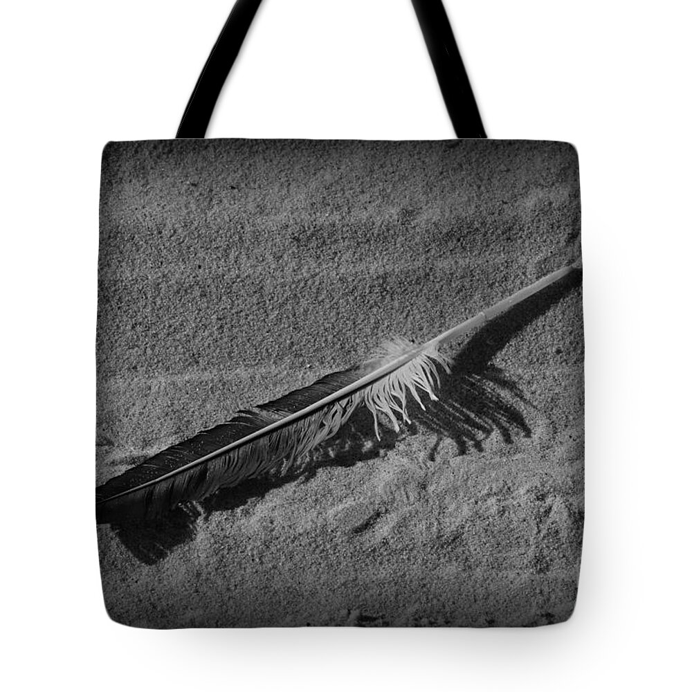 Paul Ward Tote Bag featuring the photograph Feather on the Sand by Paul Ward