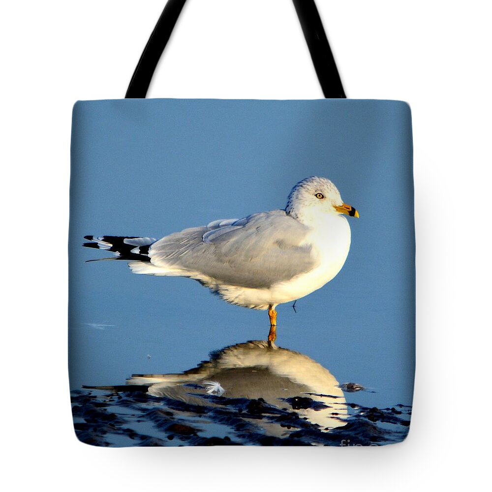 Gull Tote Bag featuring the photograph Feathered Float by Dani McEvoy