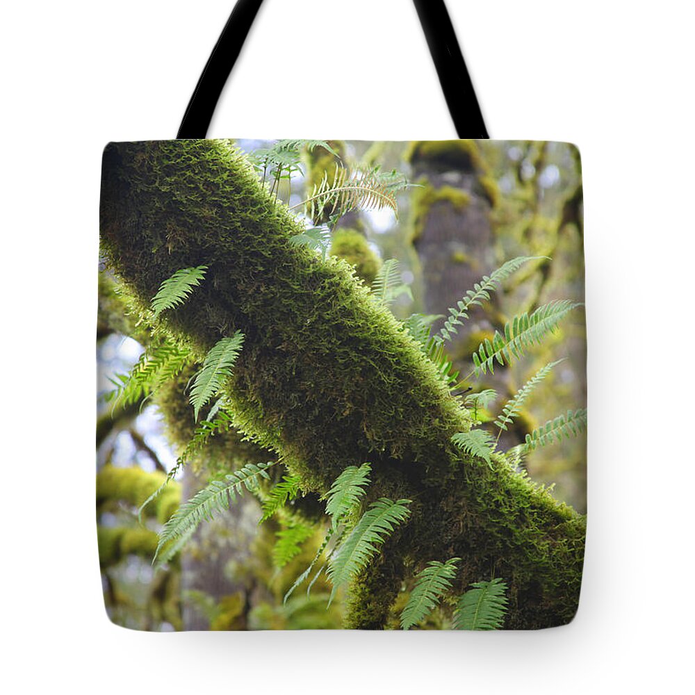 Moss Tote Bag featuring the photograph Feathered Moss by Tammy Pool