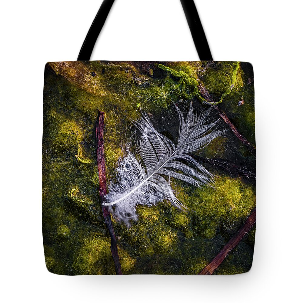 Duck Feathers Tote Bag featuring the photograph Feathers by Elmer Jensen