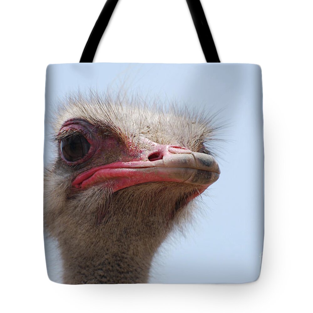 Ostrich Tote Bag featuring the photograph Feathers Standing Around the Head of an Ostrich by DejaVu Designs