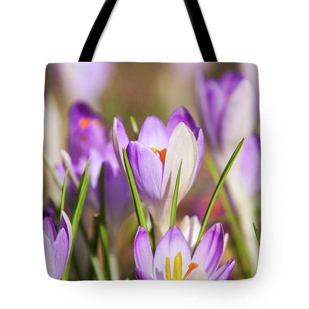 Flower Tote Bag featuring the photograph Featured At @bokeh_kings Thanks A Lot by Axel Behrens