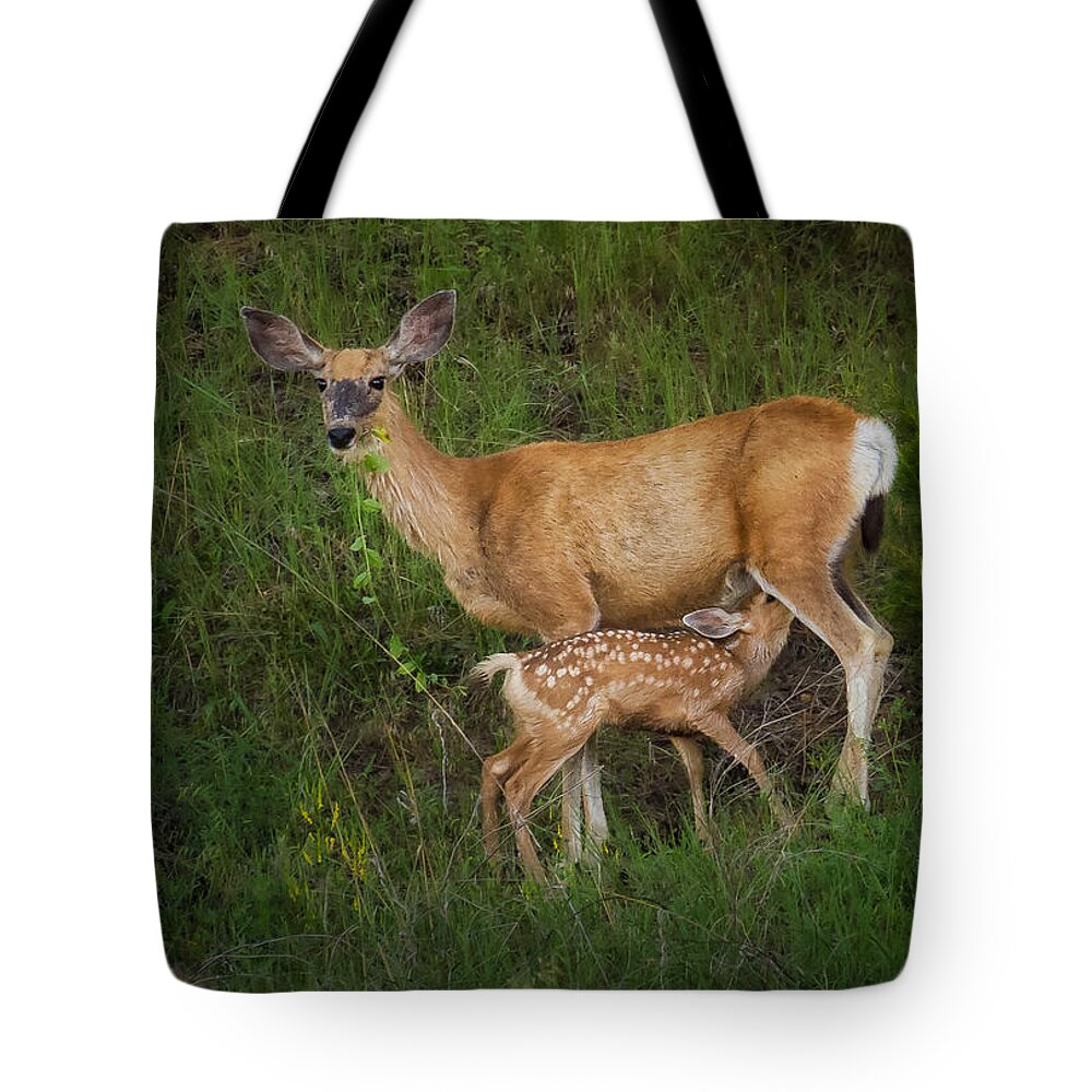 Animals Tote Bag featuring the photograph Feeding Fawn by Rikk Flohr