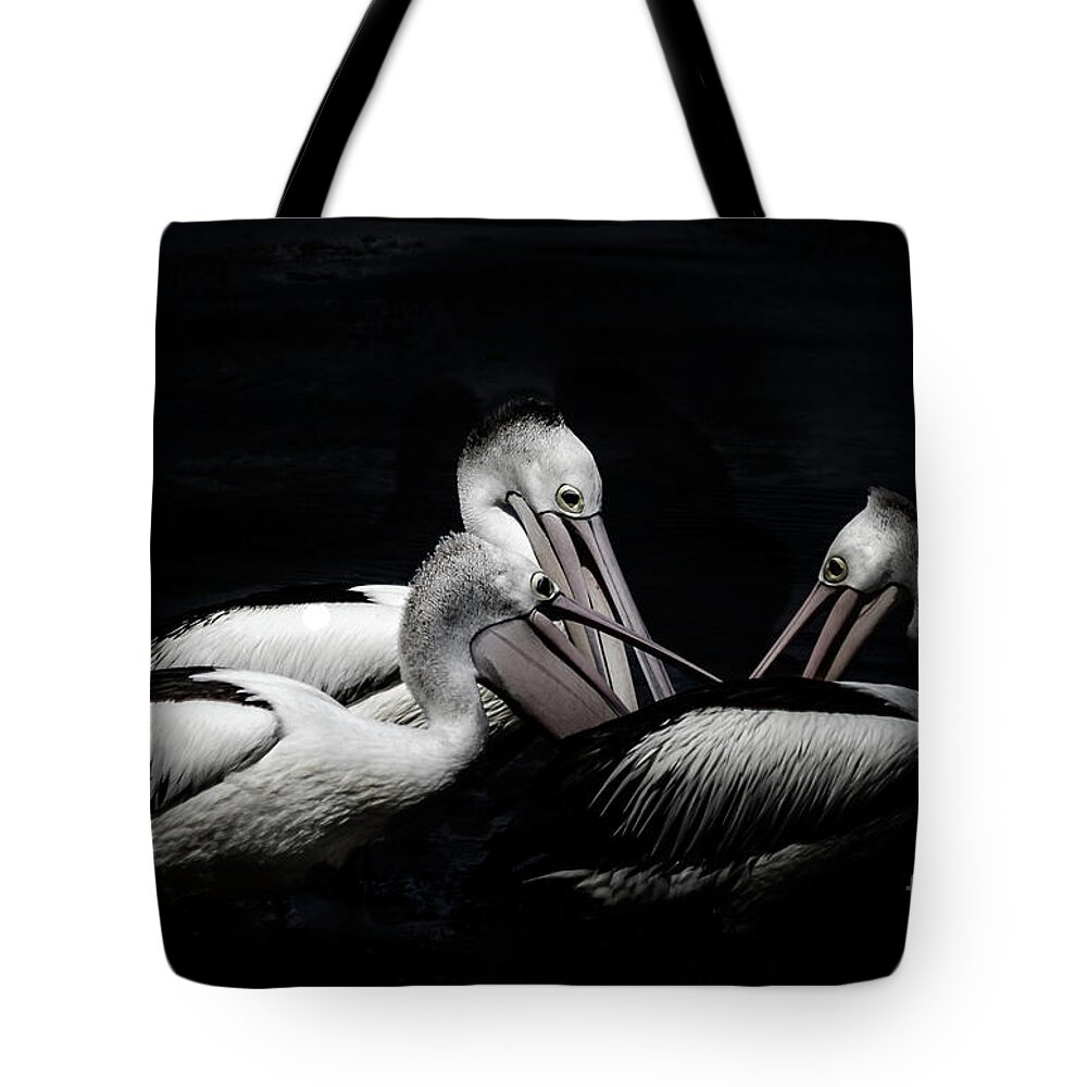 Fine Art Tote Bag featuring the photograph Family Discussion by Les Boucher