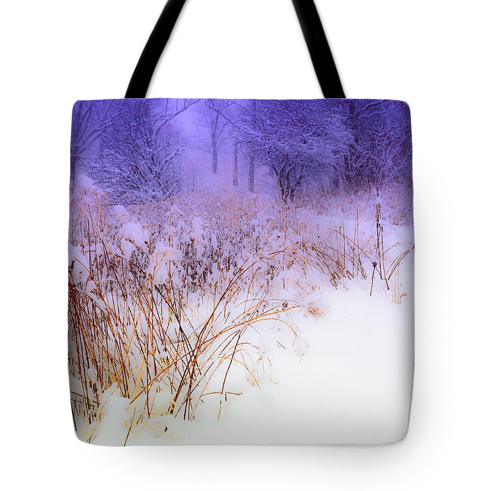 Winter Weeds Tote Bag featuring the digital art Feel of Cold Land by Judith Barath