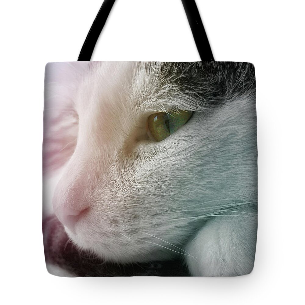 Budda Tote Bag featuring the photograph Feline Zen by JAMART Photography