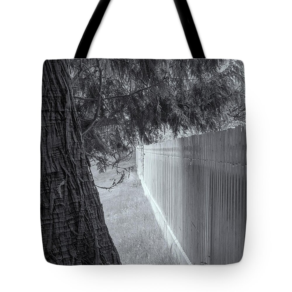 Oregon Coast Tote Bag featuring the photograph Fence In Black And White by Tom Singleton