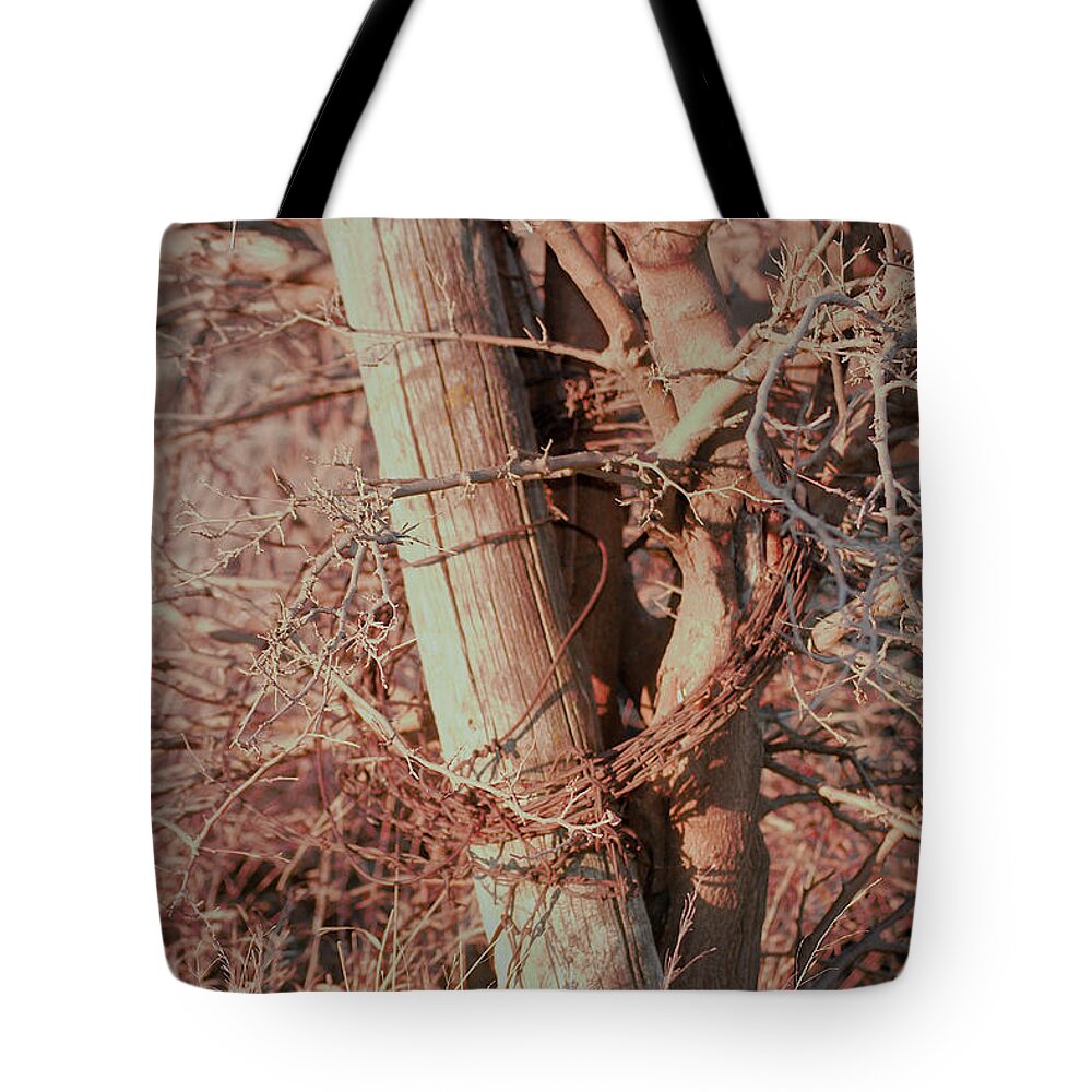 Fence Tote Bag featuring the photograph Fence Post Buddy by Troy Stapek