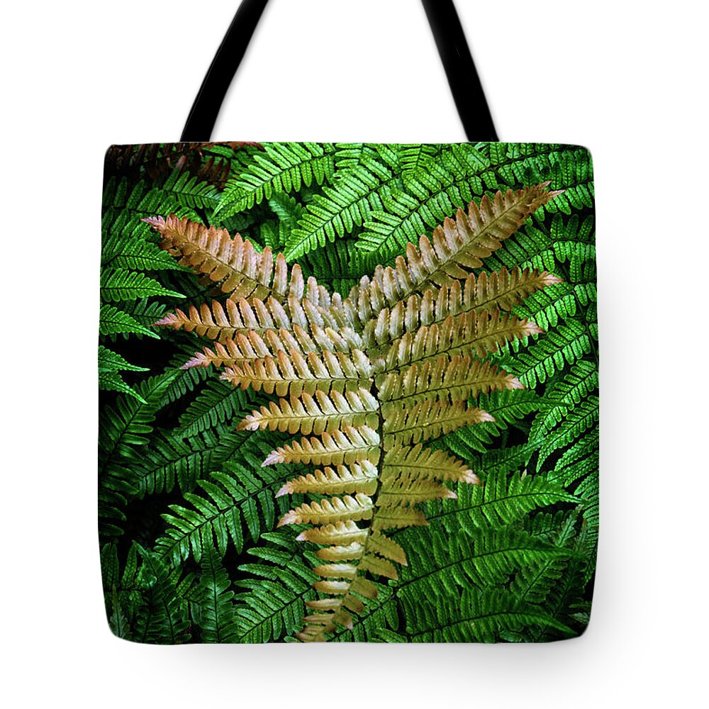 Fern Tote Bag featuring the photograph Fern by Greg and Chrystal Mimbs