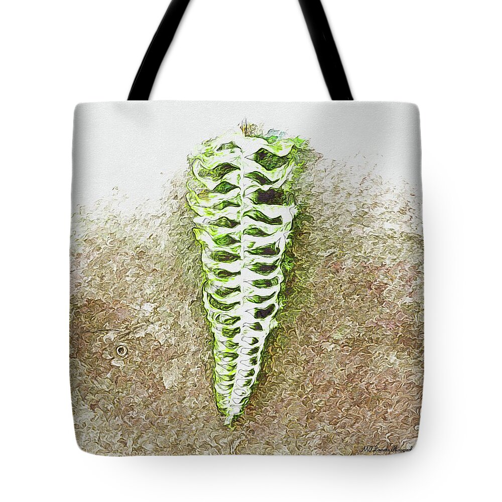 Fern Tote Bag featuring the photograph Fern Life by Marian Lonzetta