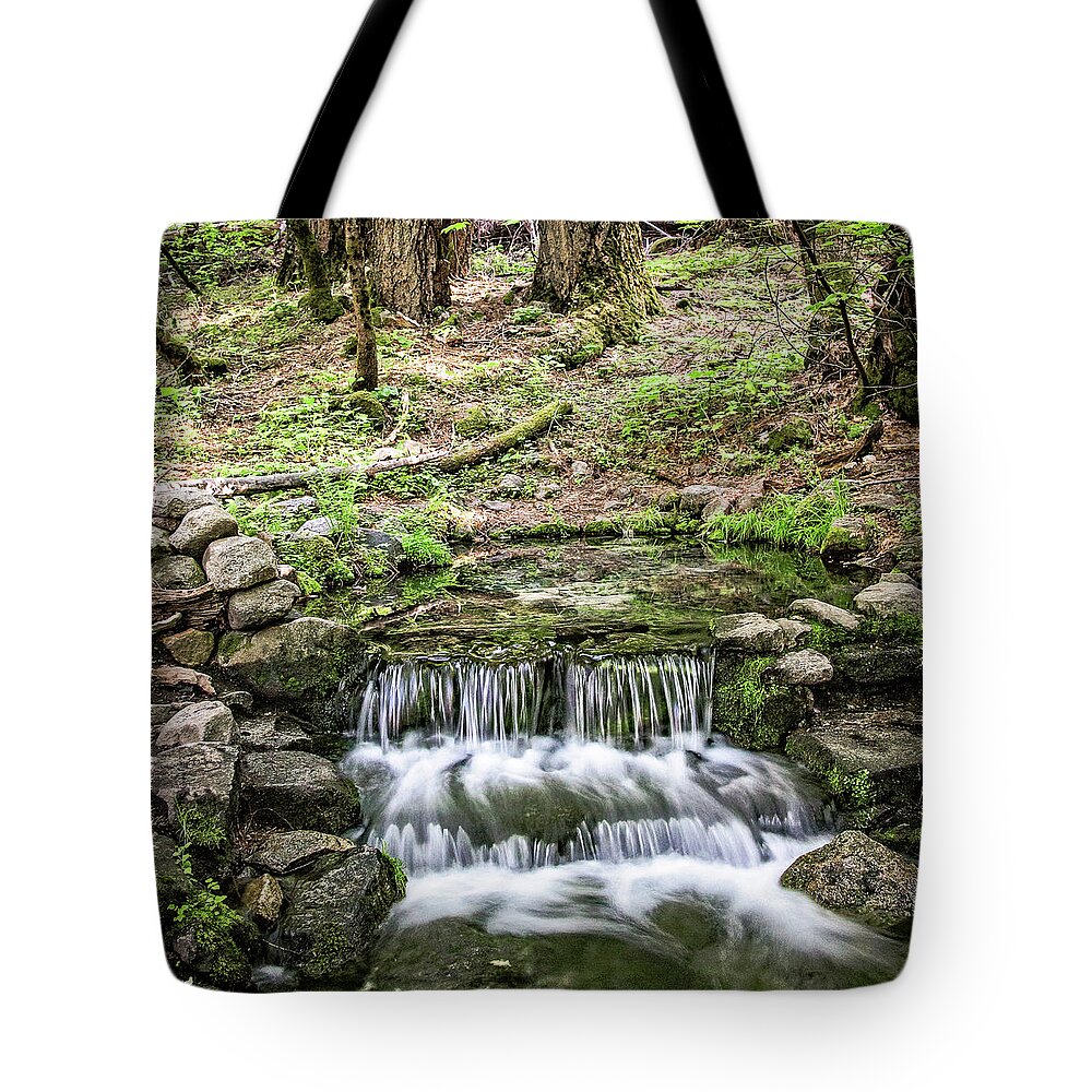 Yosemite Tote Bag featuring the photograph Fern Spring 5 by Ryan Weddle