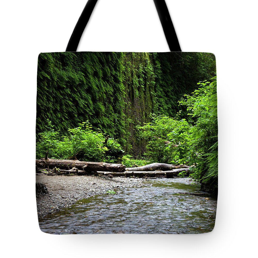 Fern Canyon Tote Bag featuring the photograph Ferns and Stream in Fern Canyon by Rick Pisio