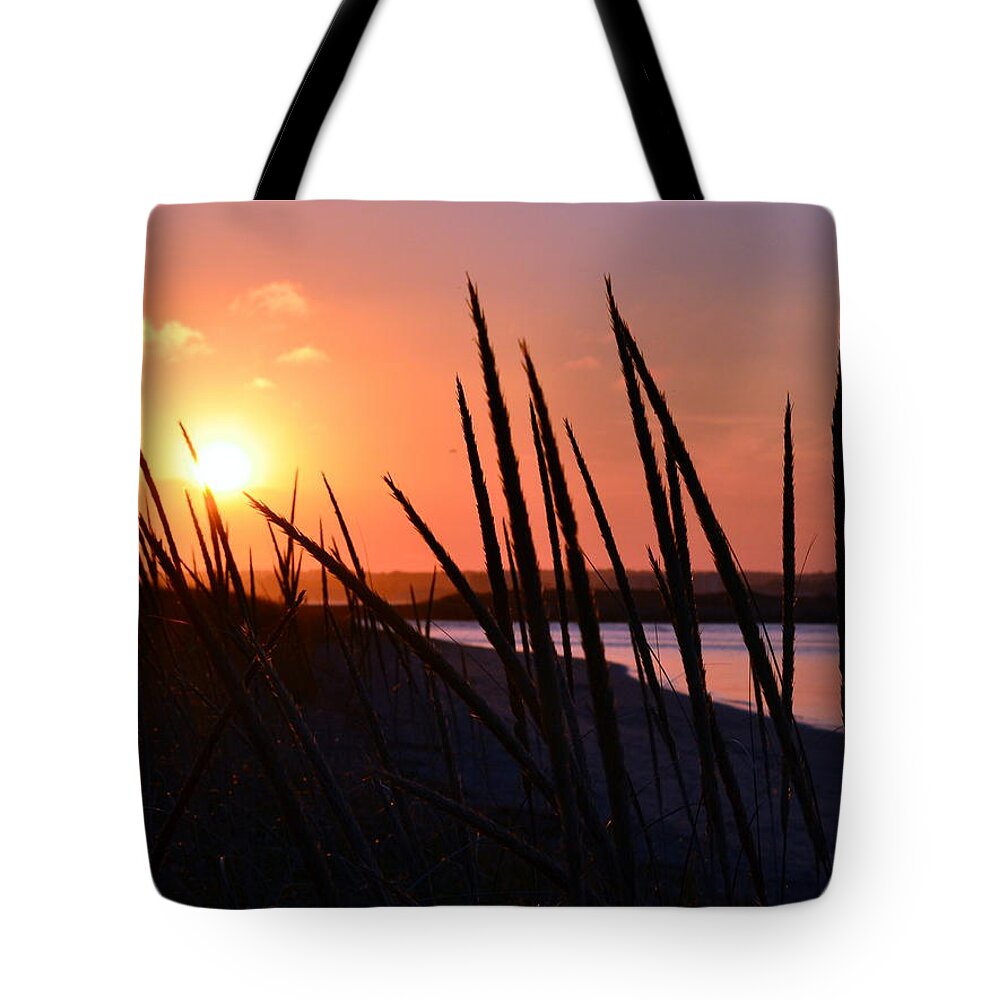 Ferry Beach Tote Bag featuring the photograph Ferry Beach by Colleen Phaedra