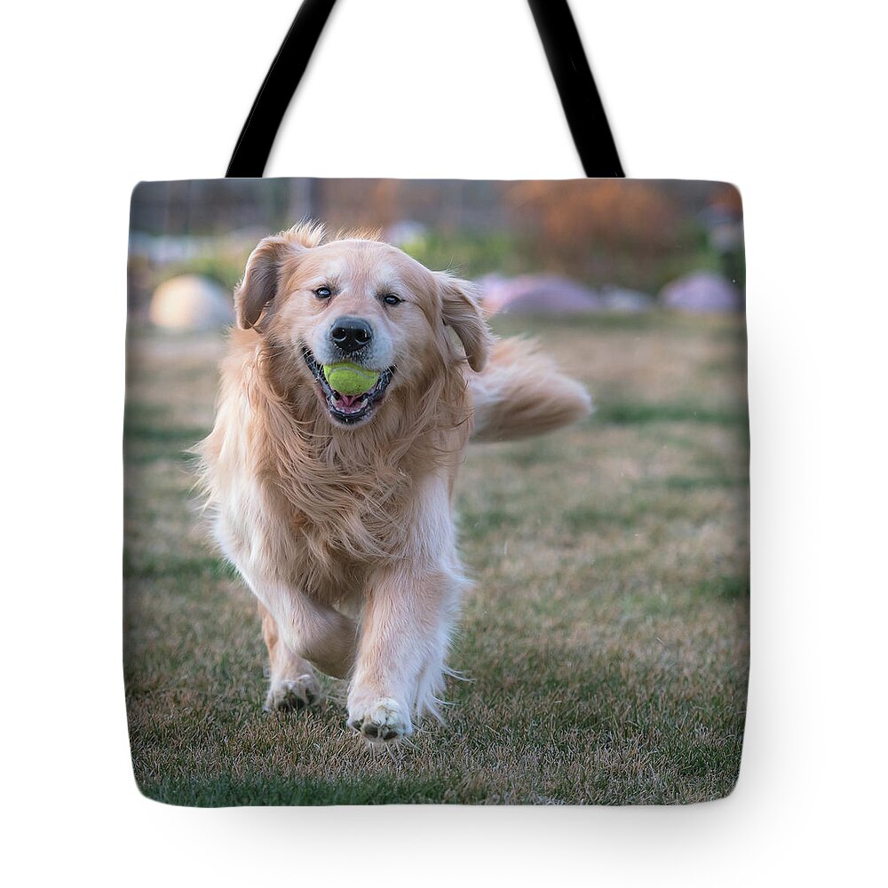 Fetch Tote Bag featuring the photograph Fetch by Jennifer Grossnickle