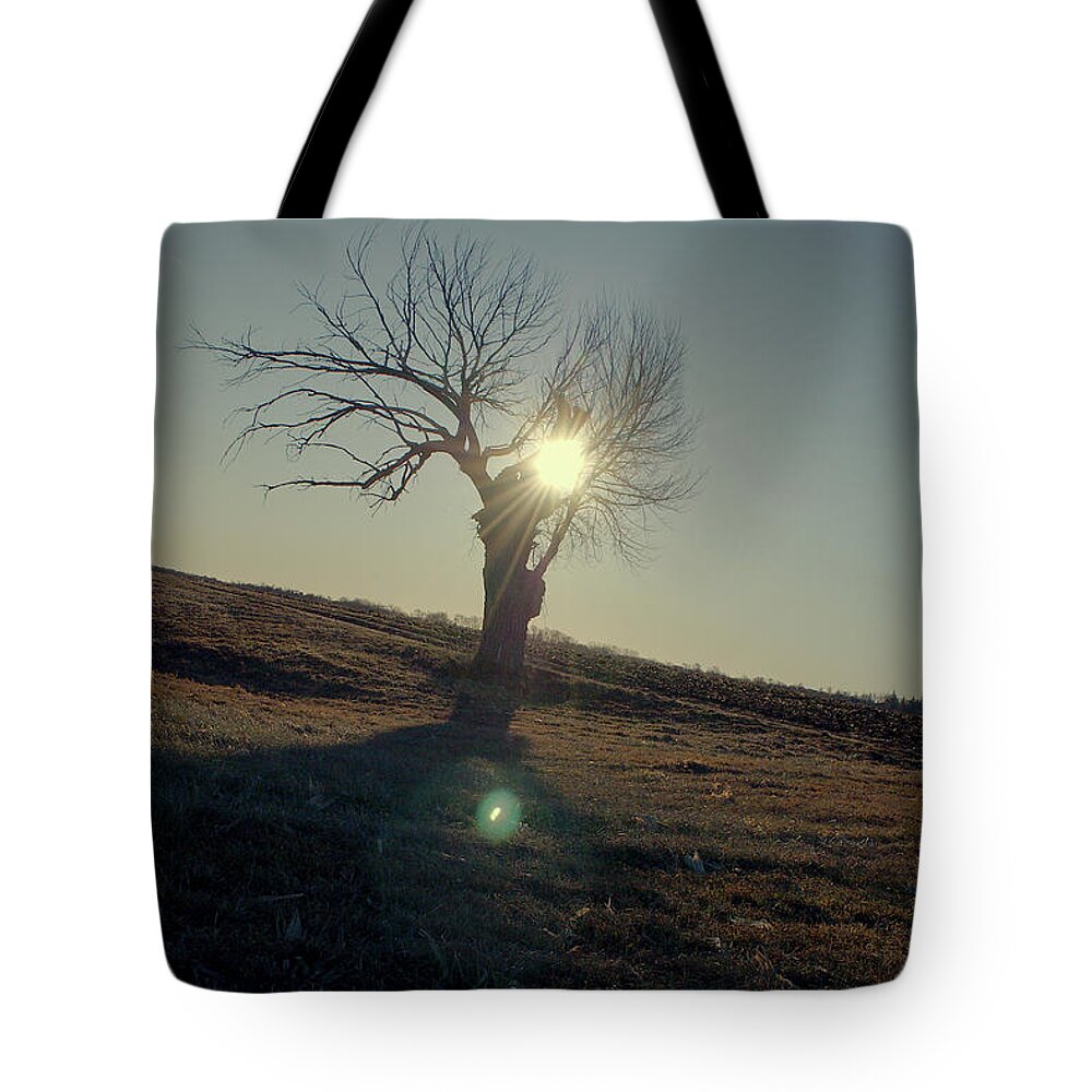 Tree Tote Bag featuring the photograph Field and Tree by Troy Stapek