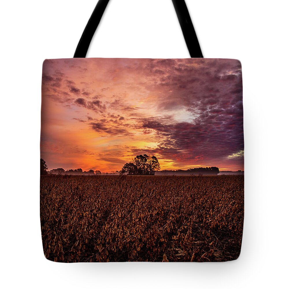 Field Of Beans Prints Tote Bag featuring the photograph Field Of Beans by John Harding