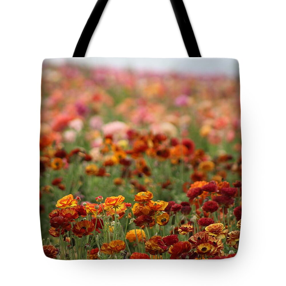 Honey Brown Ranunculus Tote Bag featuring the photograph Field of Burnt Orange and Honey Ranunculus by Colleen Cornelius