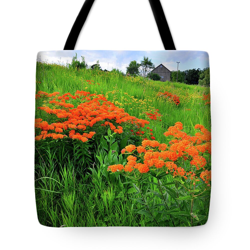 Glacial Park Tote Bag featuring the photograph Field of Butterfly Milkweed in Glacial Park by Ray Mathis