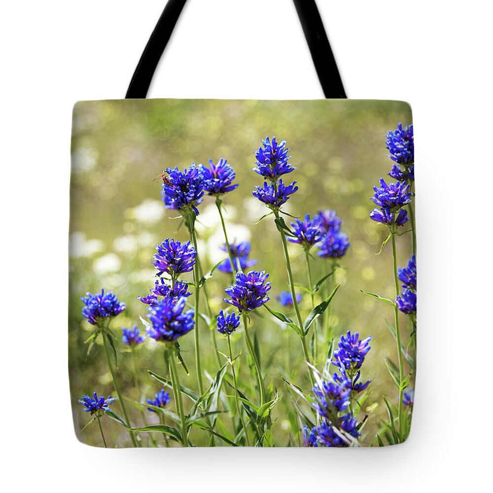 Field Of Dreams Tote Bag featuring the photograph Field of Dreams by Chad Dutson