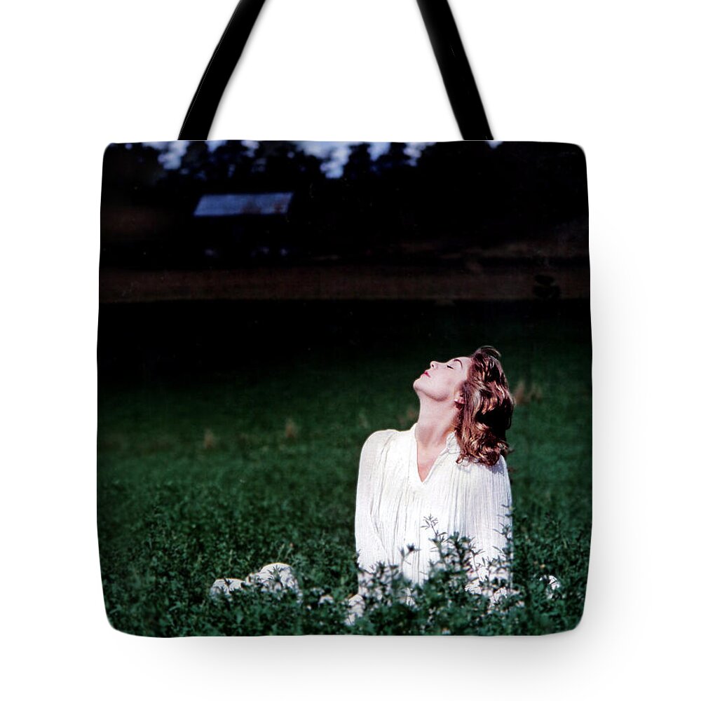 Woman Tote Bag featuring the photograph Field Of Dreams by DArcy Evans