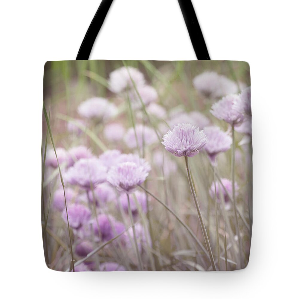 Nature Prints Tote Bag featuring the photograph Field of Flowers by Bonnie Bruno