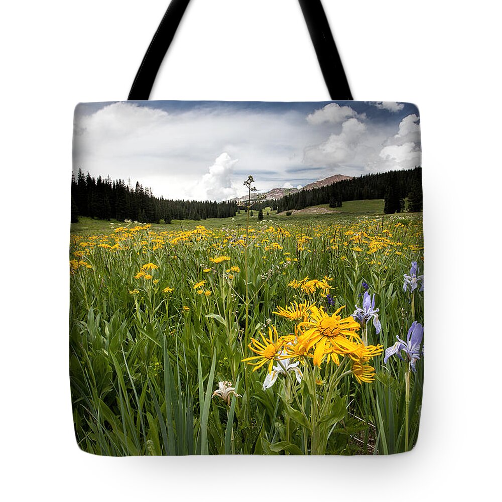 Field Of Wildflowers Tote Bag featuring the photograph Field of Flowers by Jim Garrison