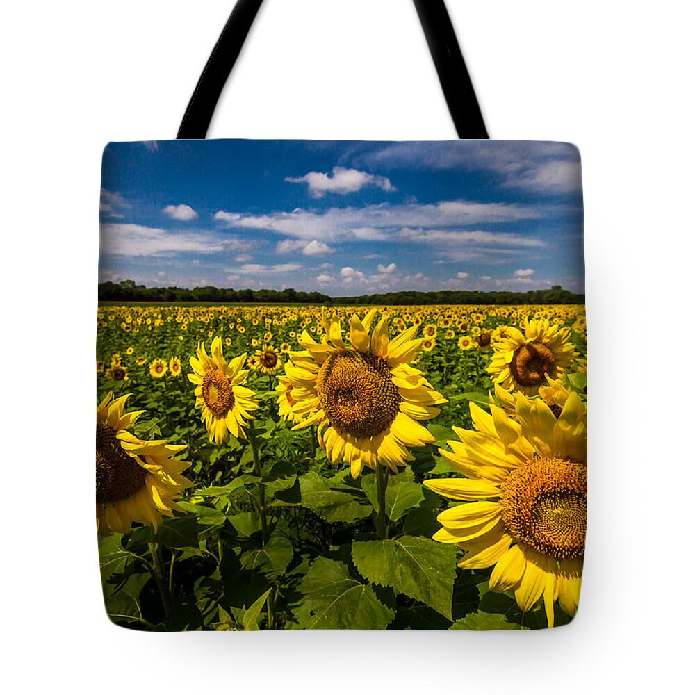 Blue Sky Tote Bag featuring the photograph Field of Sun by Ron Pate