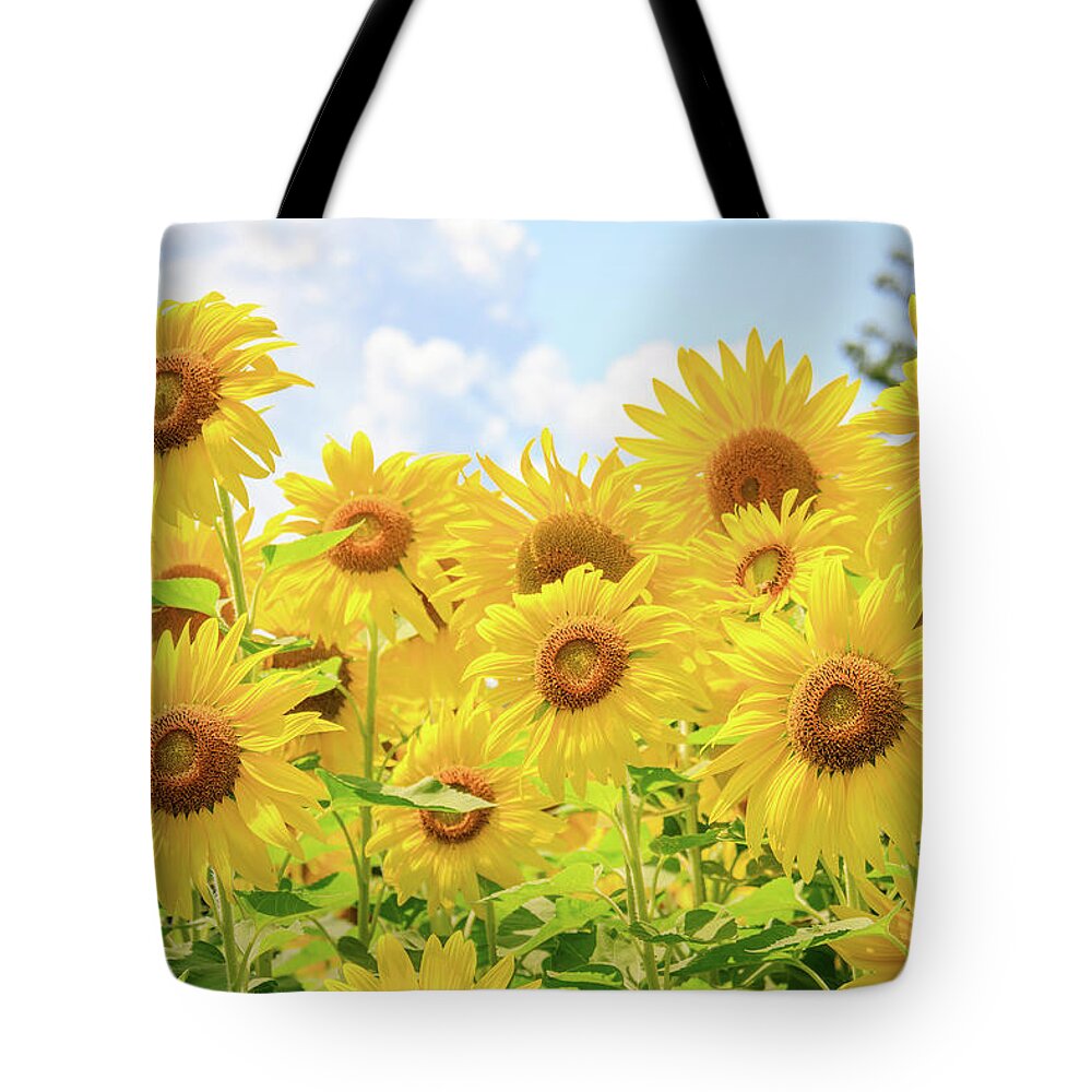 Dupage County Tote Bag featuring the photograph Field of Sunflower Sunshine by Joni Eskridge