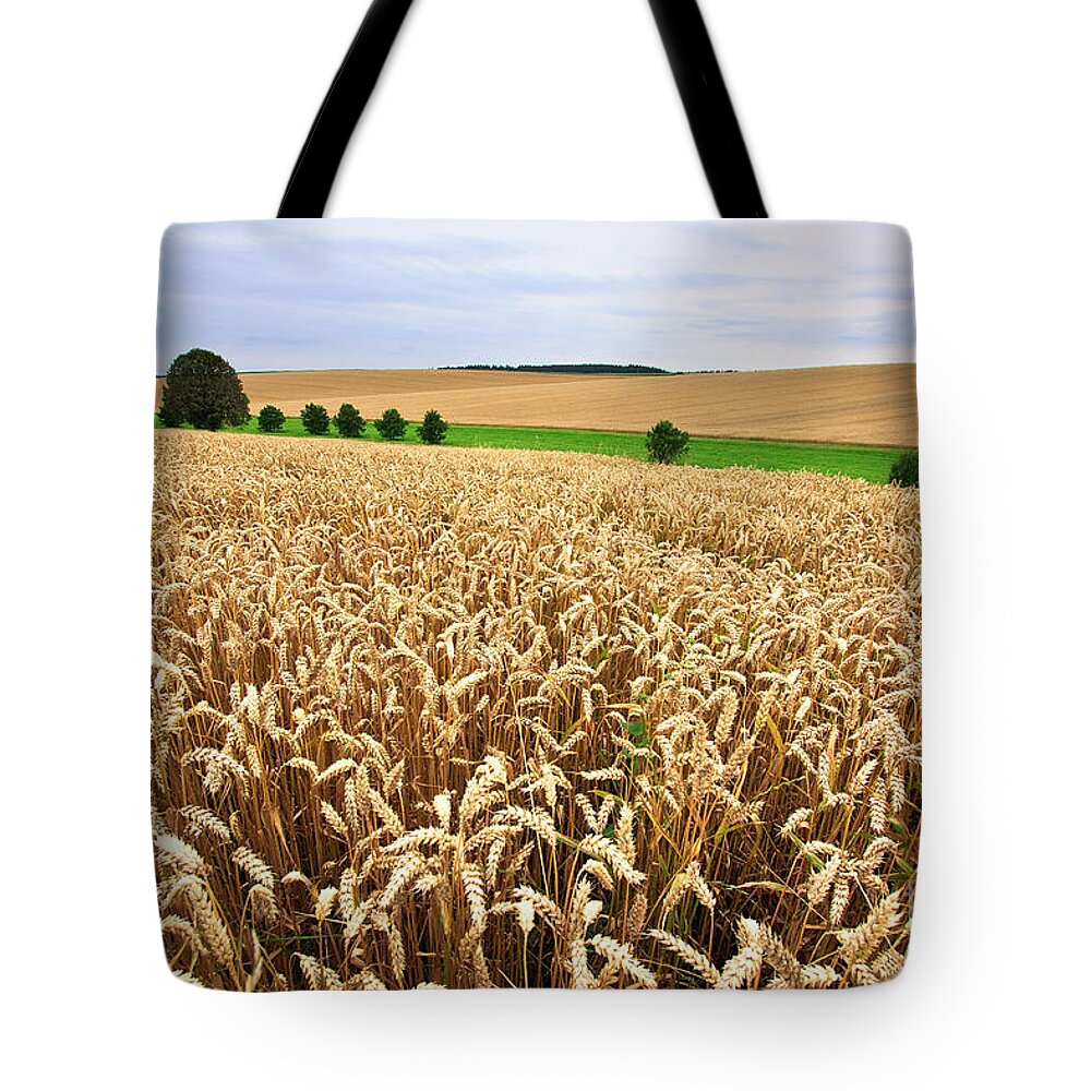Agriculture Tote Bag featuring the photograph Field of Wheat by Nailia Schwarz