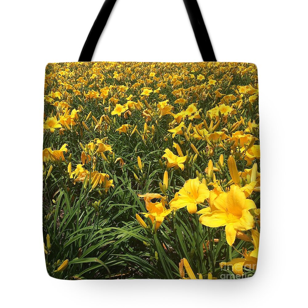 Field Of Flowers Tote Bag featuring the photograph Field of Yellow Lilies by Robin Pedrero