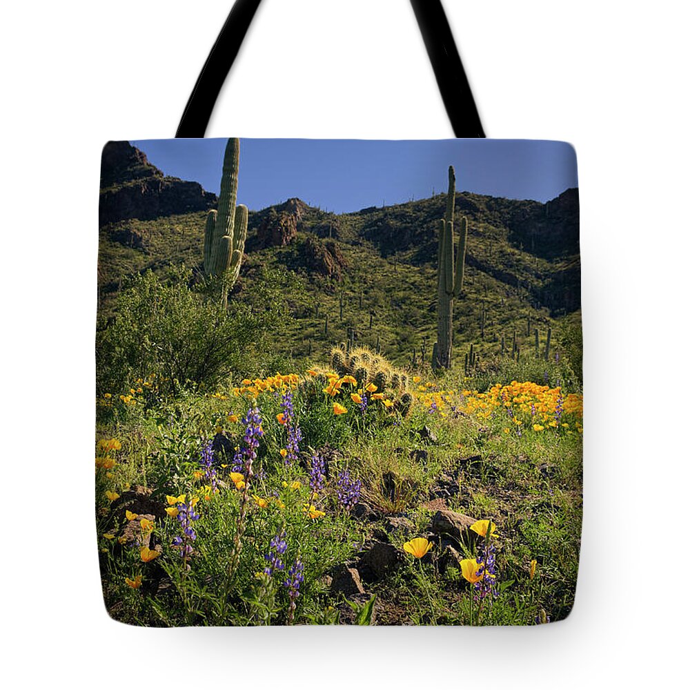 Picacho Peak State Park Tote Bag featuring the photograph Fields of Glory by Lucinda Walter