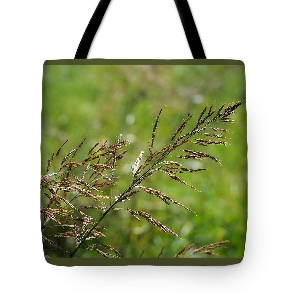 Grain Tote Bag featuring the photograph Fields of grain by Joseph Caban