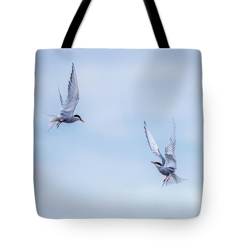 Fighting Terns Tote Bag featuring the photograph Fighting terns by Torbjorn Swenelius