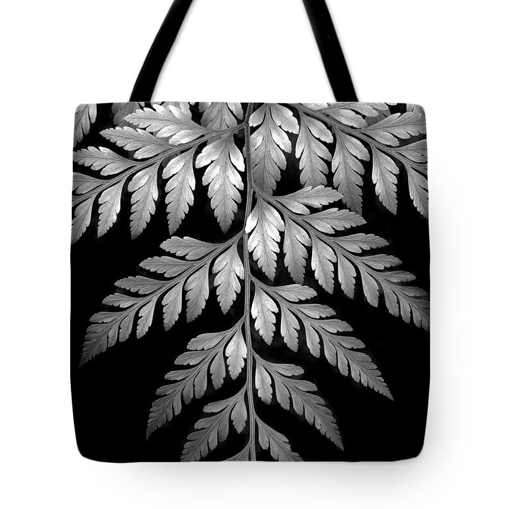 Fern Tote Bag featuring the photograph Filigree Fern II by Jessica Jenney