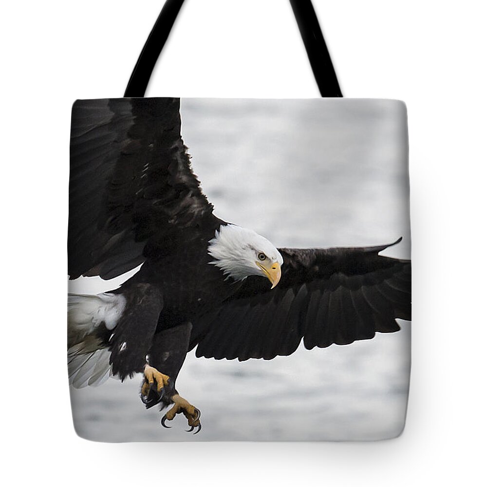 Bald Eagle Tote Bag featuring the photograph Final Approach by Randy Hall