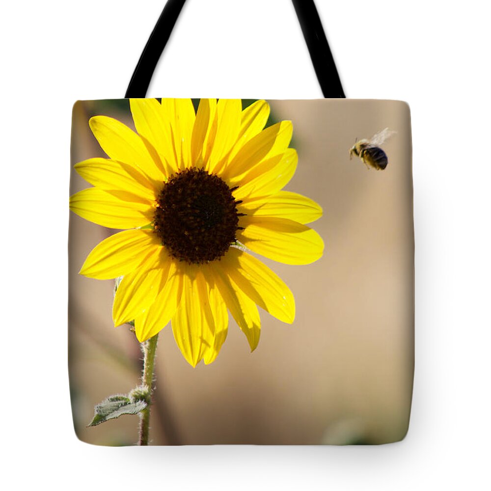 Photography Tote Bag featuring the photograph Final Approach by Sean Griffin