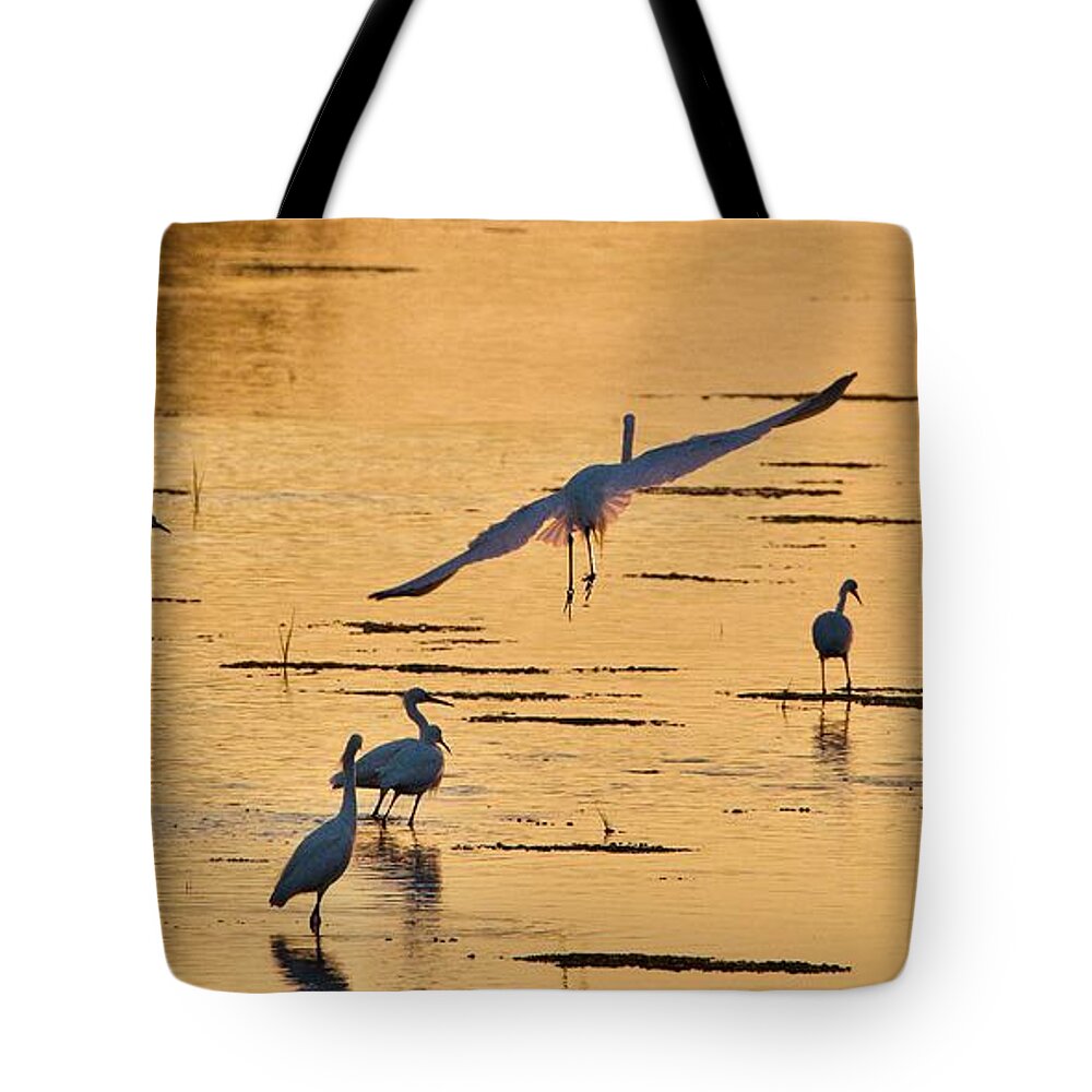 Bird Tote Bag featuring the photograph Final Glide Path to Dinner by Shawn M Greener