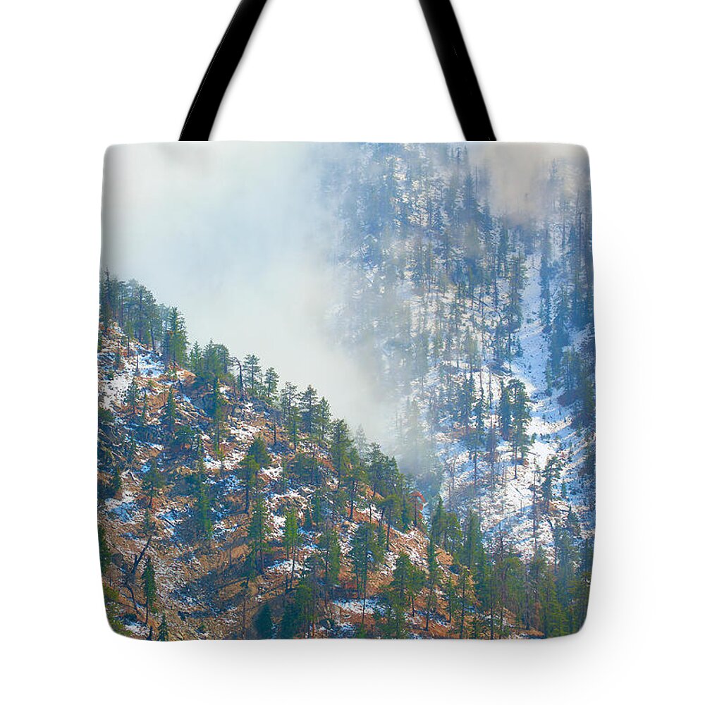 Snow Tote Bag featuring the photograph Let it snow by Ram Vasudev