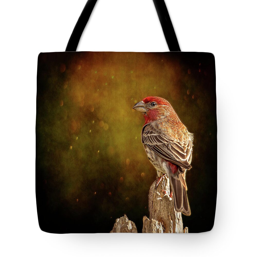 Animal Tote Bag featuring the photograph Finch From The Back by Bill and Linda Tiepelman