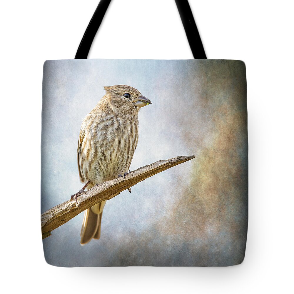 Chordata Tote Bag featuring the photograph Finch Perched On Blues by Bill and Linda Tiepelman