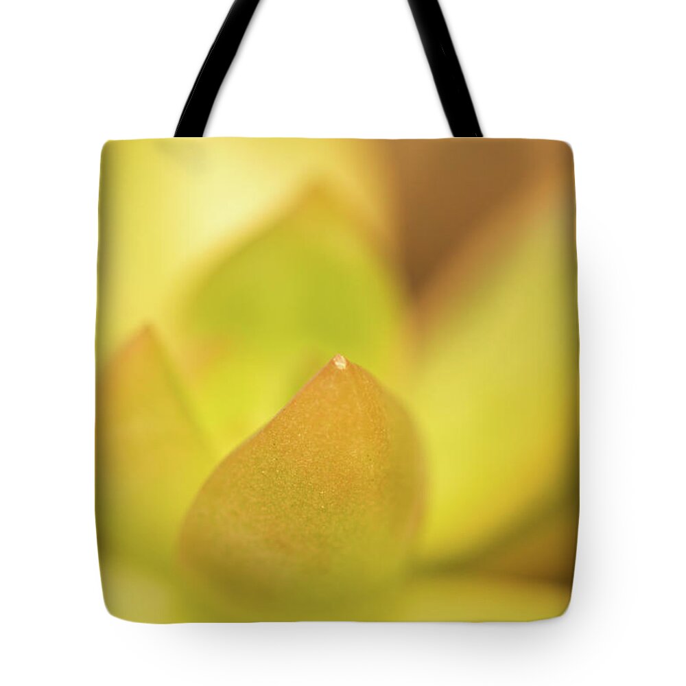 Nature Tote Bag featuring the photograph Find Focus in Nature by Ana V Ramirez
